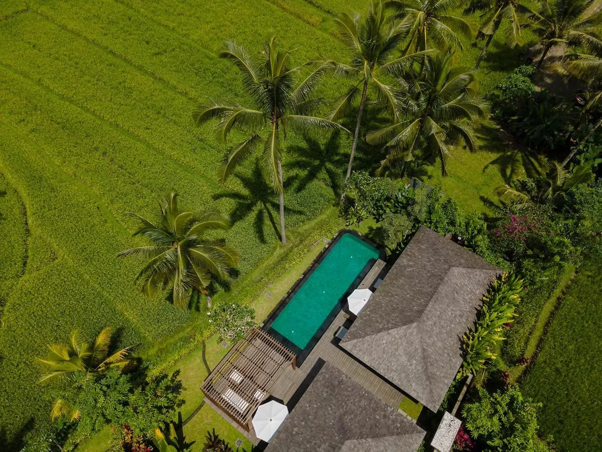 Resort Kappa Senses Ubud