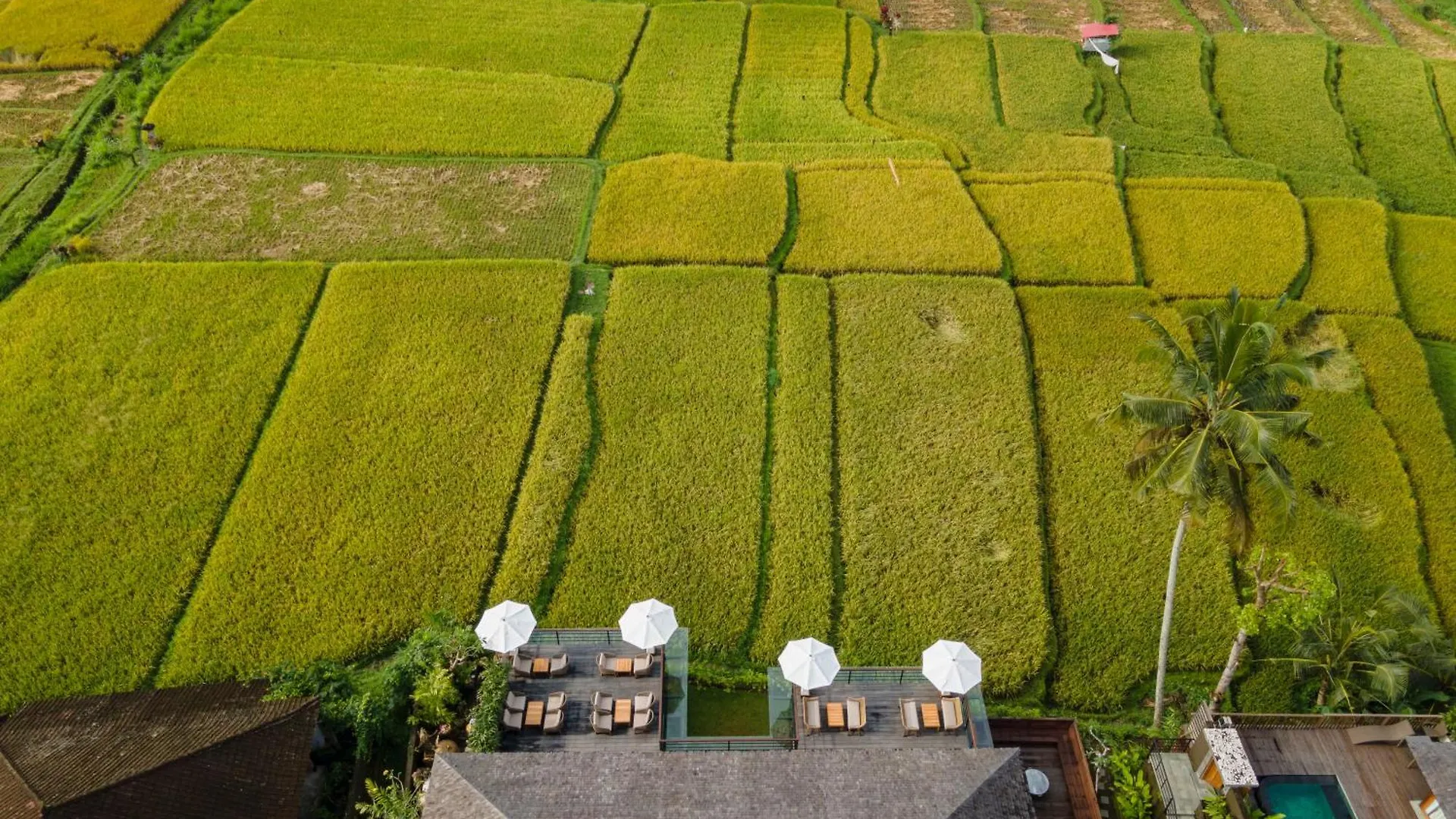 Kappa Senses Ubud Resort