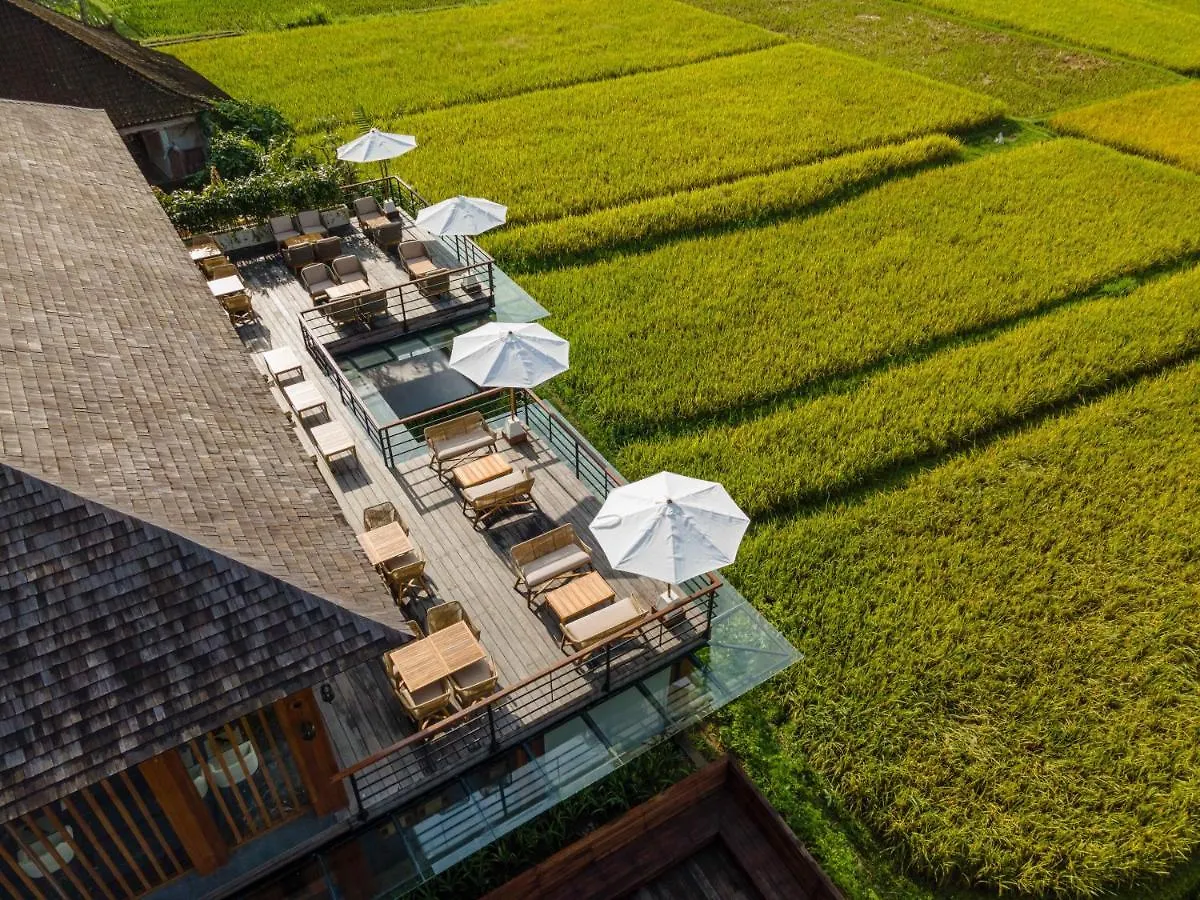 Kappa Senses Ubud Resort